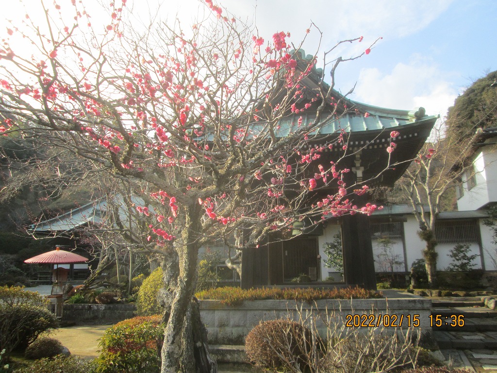 ���O�O�̍g�~ 